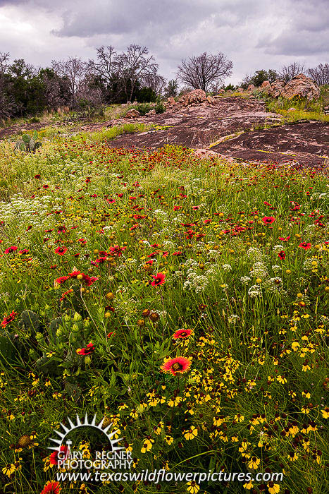 Llano Uplift