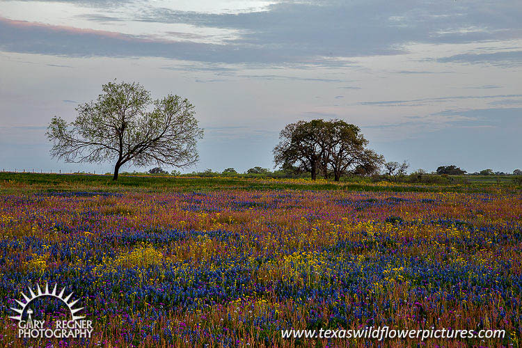 Sutherland Springs